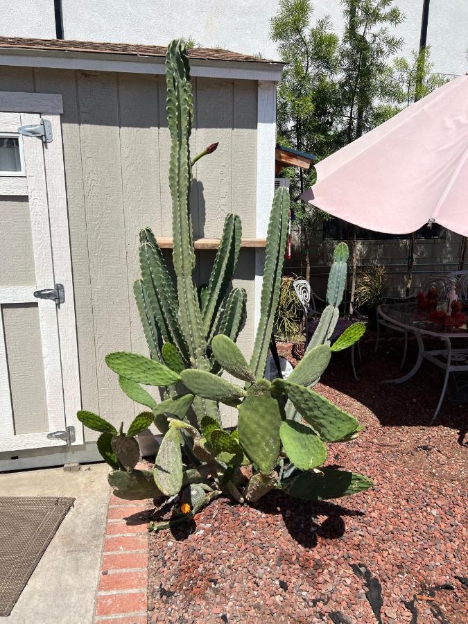 Private Los Angeles Room - Free Wifi, Ac, Tv, Private Fridge, Kitchen, Near Usc - Exposition Park - Usc Memorial Coliseum - Banc Of California Bmo Stadium - Downtown Los Angeles Dtla - University Of Southern California Usc!! 외부 사진